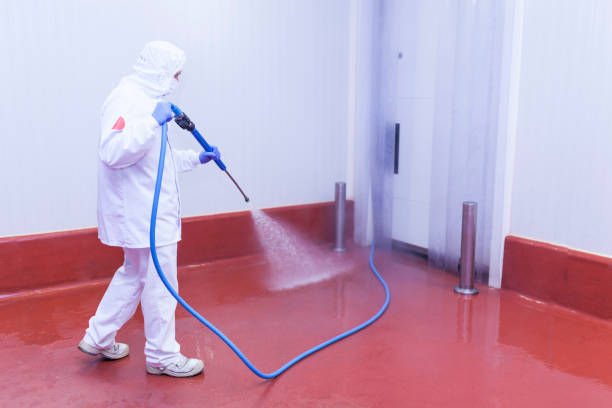 Best Factory Floor Cleaning  in Madison, NE